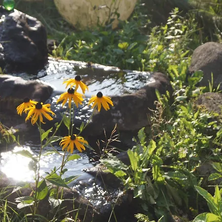 Refugium Idyll - Alleinlage Berge (Lower-Saxony)